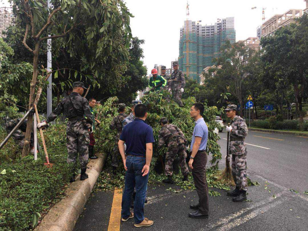 致敬那些最可爱的人 龙华区城管局灾后处置在行动