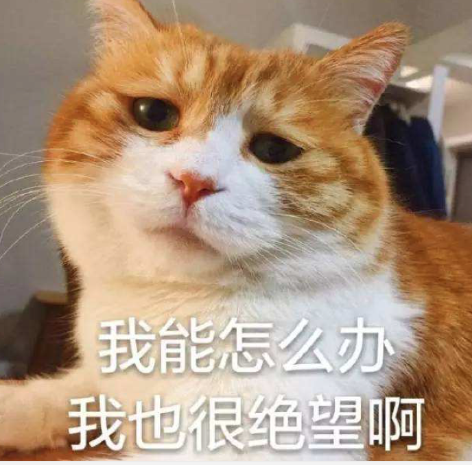 屏幕快照 2018-11-19 下午10.40.08.png