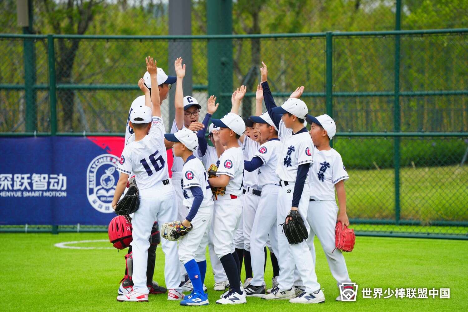 图片10 (2).jpg