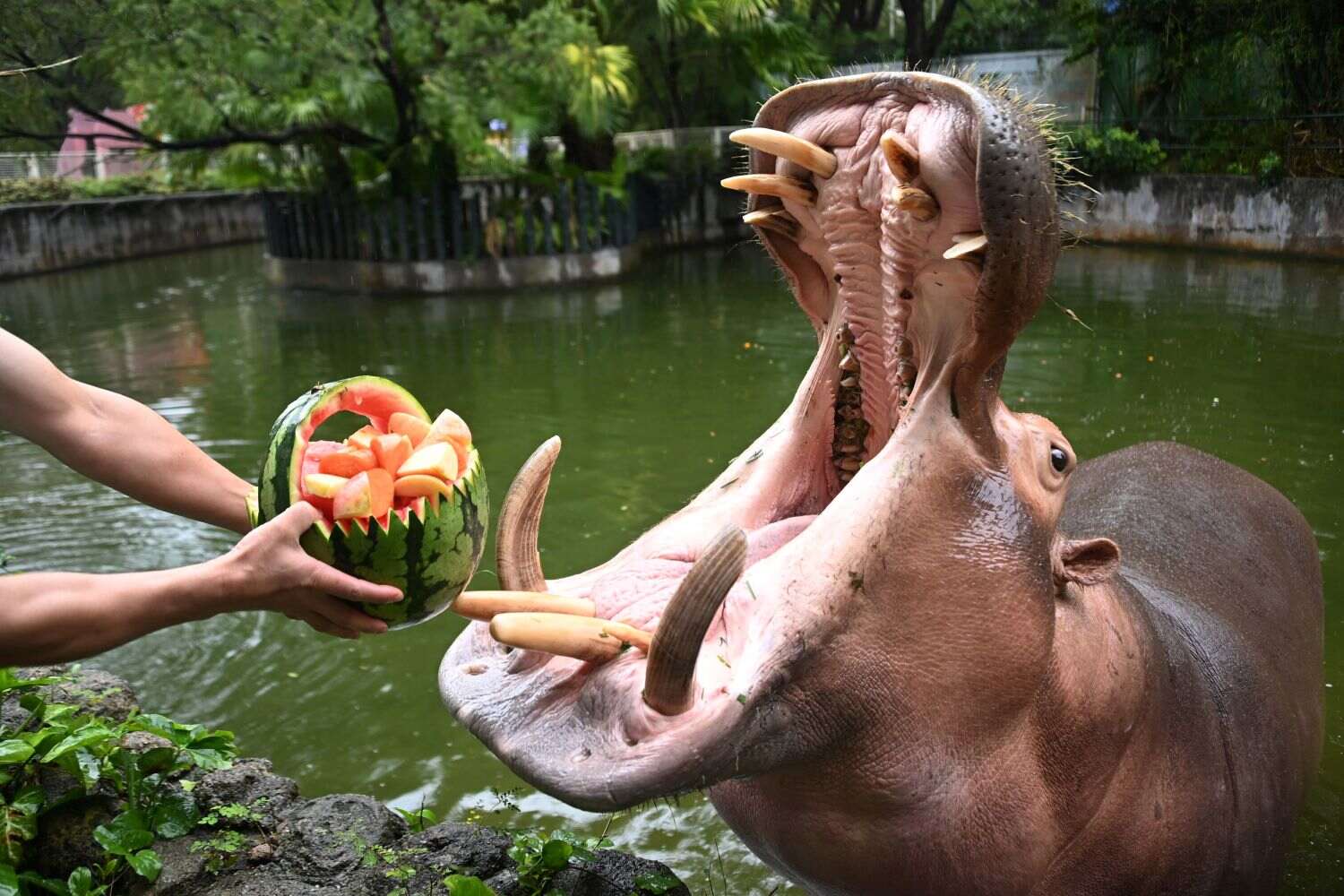 微信图片_20260505154703_10602_1 (2).jpg