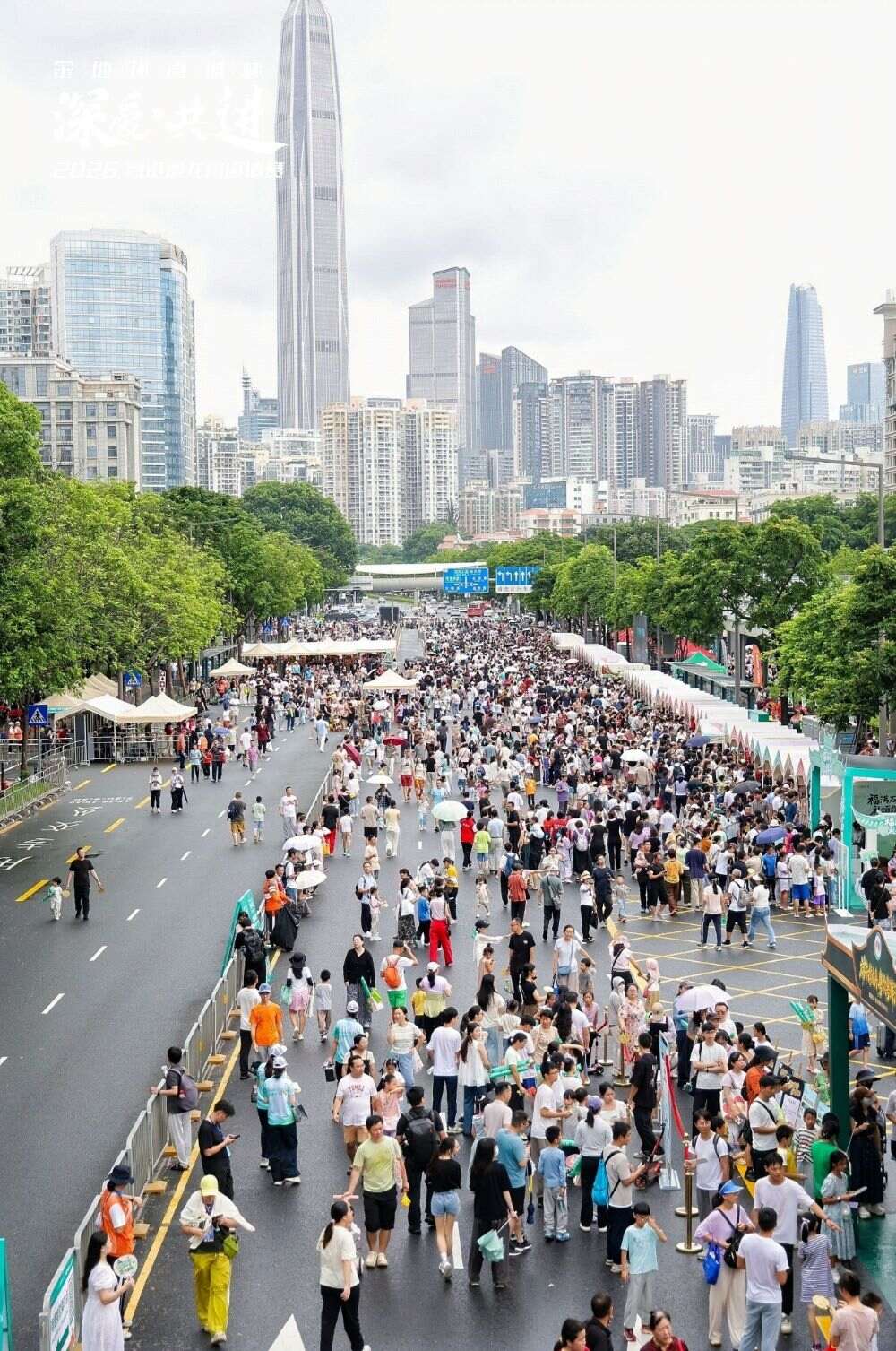 图片16 (2).jpg