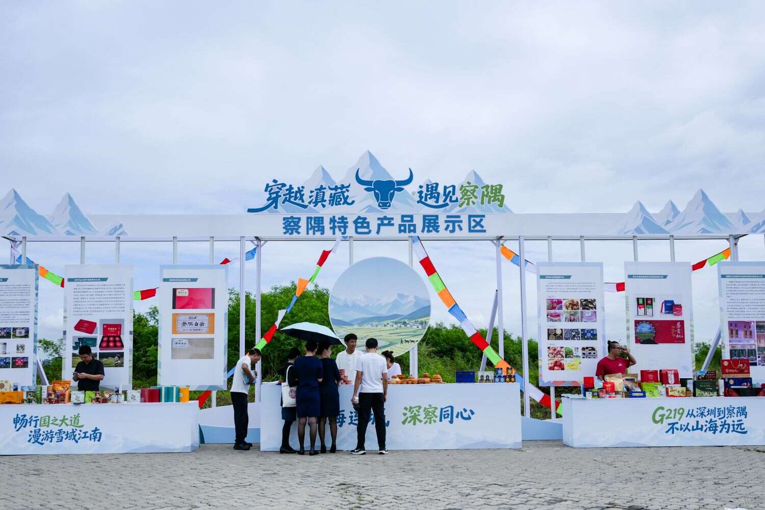 图片3 (2).jpg